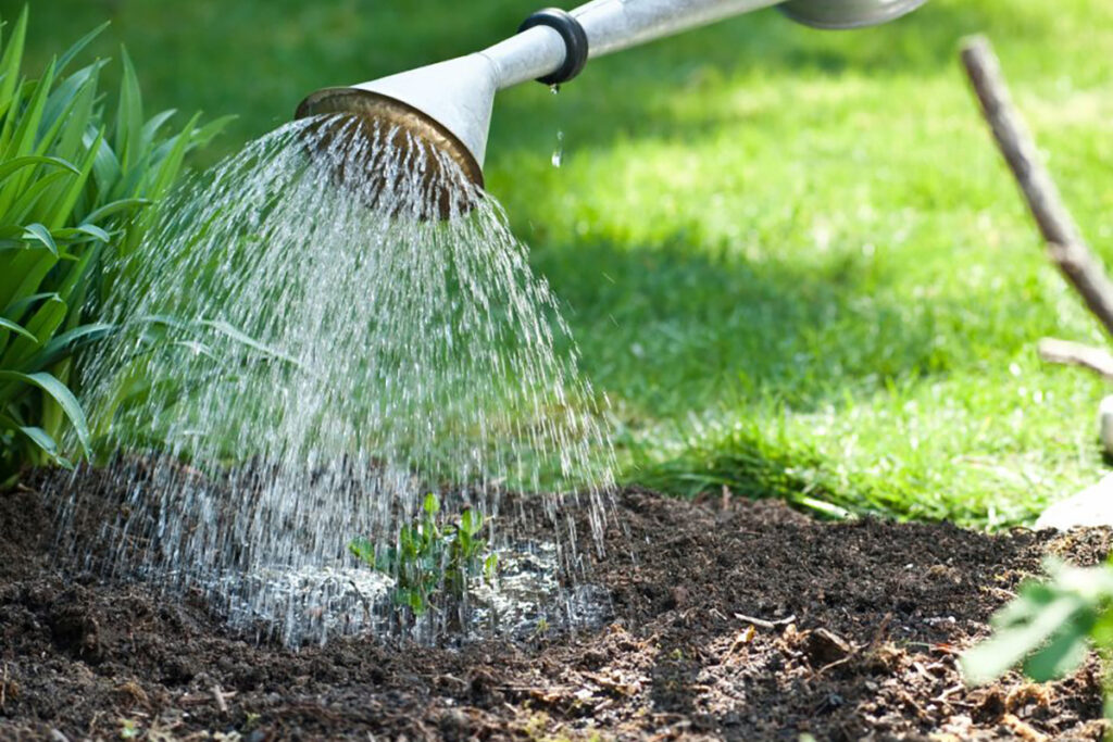 heatproof your garden